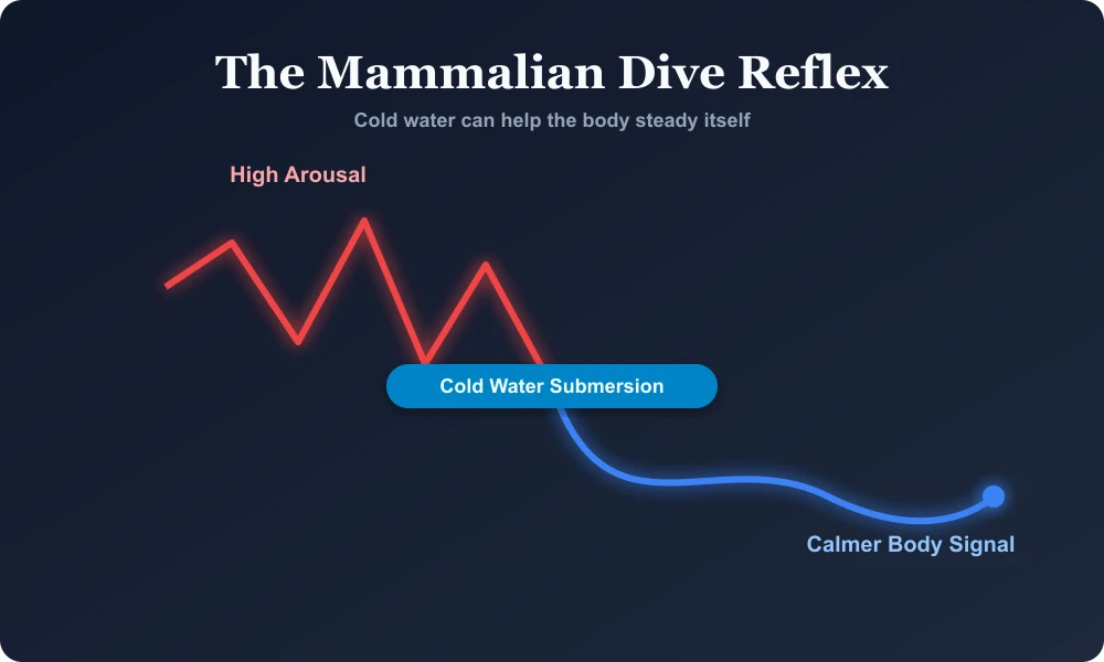 Graph showing cold water helping high arousal shift toward a calmer body signal