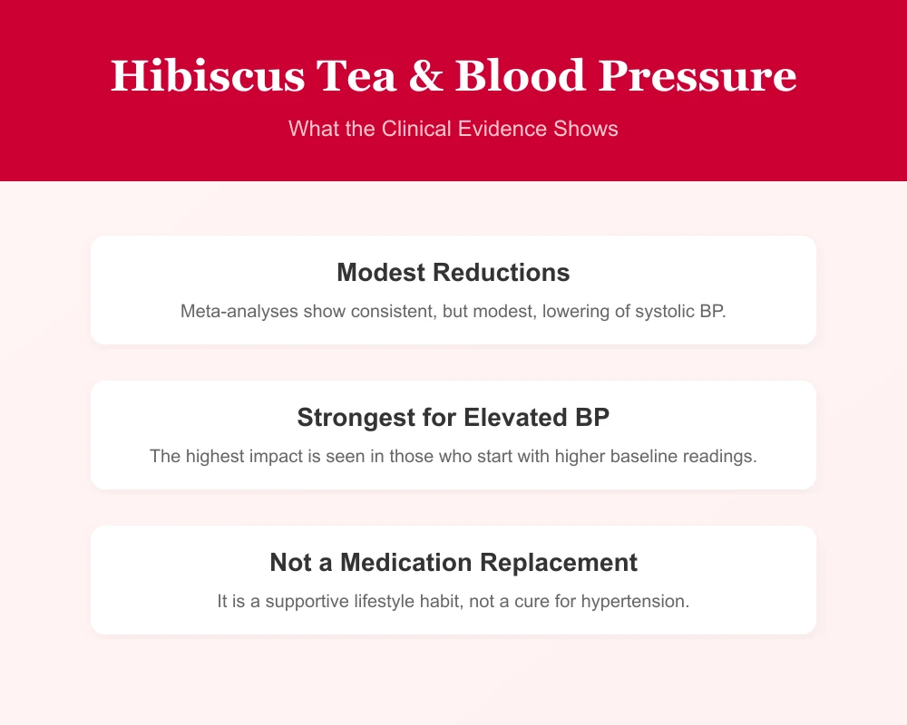 Infographic chart explaining hibiscus tea's clinical impact on blood pressure