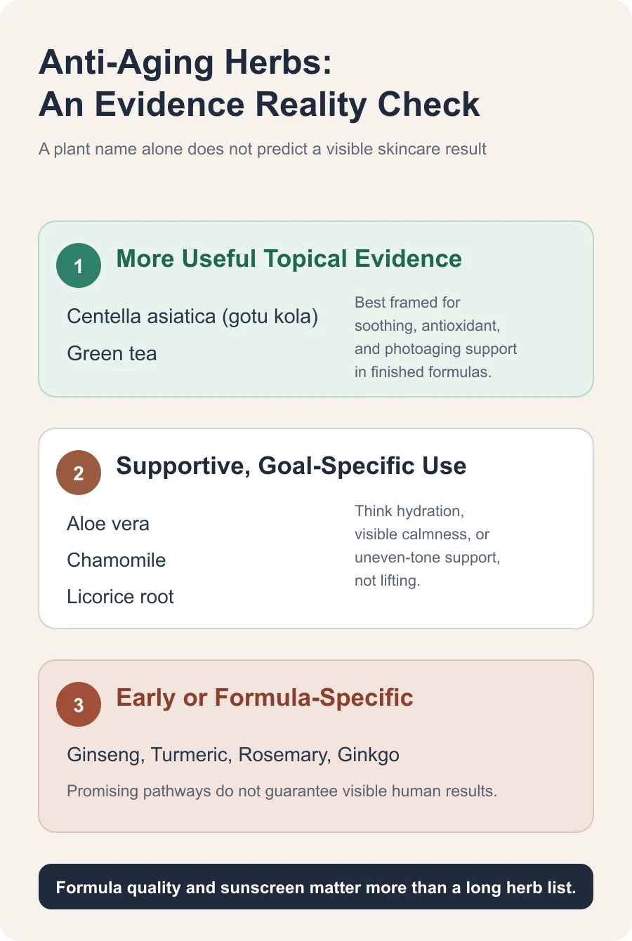 Evidence guide grouping nine anti-aging herbs by practical topical support