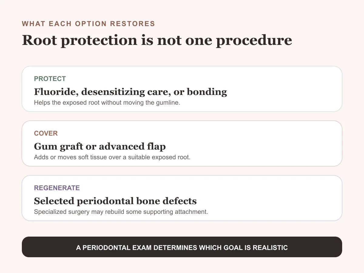 Guide comparing gum grafting, flap procedures, periodontal regeneration, and bonding for exposed roots