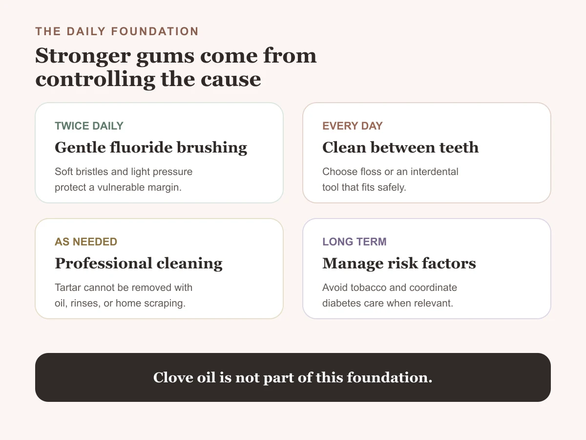 Daily foundation for healthier gums including gentle brushing, interdental cleaning, professional care, and risk management