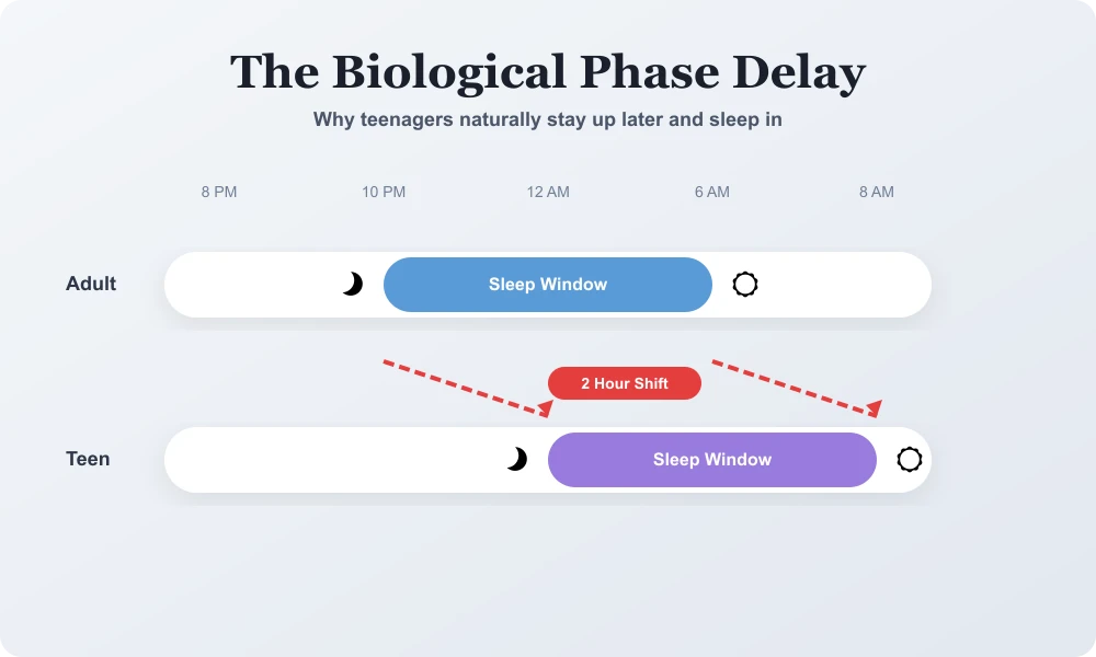 The Teen Circadian Rhythm Shift Graphic